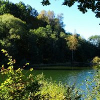 Картинка осени в сентябре. :: Милешкин Владимир Алексеевич Картинка осени в сентябре. :: Милешкин Владимир Алексеевич