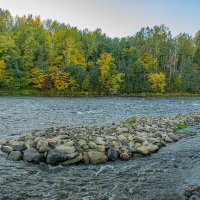Золото Опеченского Посада(село) :: Александр Филатов