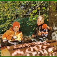 Встреча друзей. :: Ольга Довженко