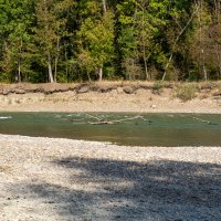 Река Кубань :: Игорь Сикорский