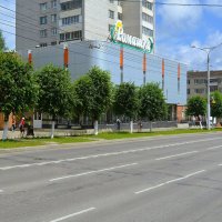 Чебоксары. Молодые липы на проспекте 9-й Пятилетки. :: Пётр Чернега Чебоксары. Молодые липы на проспекте 9-й Пятилетки. :: Пётр Чернега