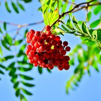 - :: Владимир Мигонькин