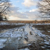 Весна :: Владимир Иванович