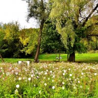 КОЛОМЕНСКОЕ :: АЛЕКСАНДР 