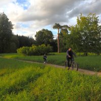 В Павловском парке :: Магомед .