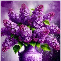 Сирень :: antri 