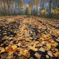 * :: Александр Иванов