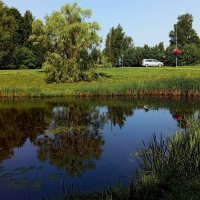 Теплый полдень у пруда .. :: Татьян@ Ивановна