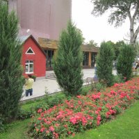 Цветник на ВДНХ :: Дмитрий Никитин