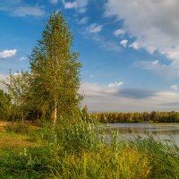 Бабье лето 6 :: Андрей Дворников Бабье лето 6 :: Андрей Дворников