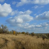 Осенняя степь.... :: Надежда Куркина 