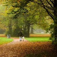 Утренняя прогулка :: Юрий. Шмаков