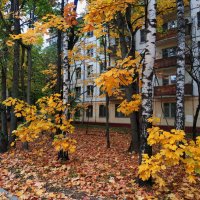 Осень не первоначальная :: Андрей Лукьянов