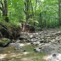 Гуамское ущелье :: Tata Wolf