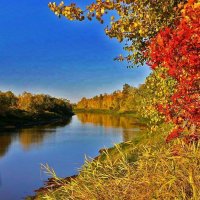 Сентябрь...Калиновая протока! :: Владимир 