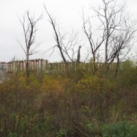 Осень на районе :: Андрей Макурин Осень на районе :: Андрей Макурин