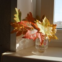 Осеннее настроение :: Ольга 