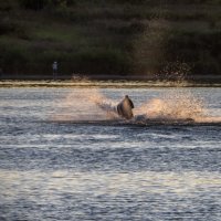 В вихре брызг :: Сергей Цветков