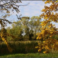 Осень золотая :: Aleksandr Gal