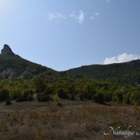 Природа Крыма :: Amazing Cosmea