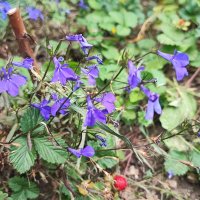 ,,, :: Сергей Тимоновский