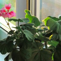 Генрань... :: Юрий Куликов