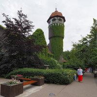 Из прогулки по Светлогорску. :: Евгений Седов Из прогулки по Светлогорску. :: Евгений Седов