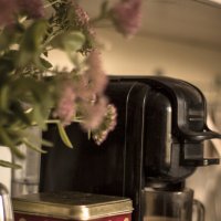 Утро любого дня :: Тамара Федорова