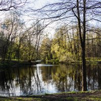 пруд :: navalon M
