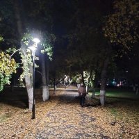 Вечерняя прогулка :: Динара Каймиденова