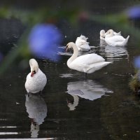 Царицыно 30 сентября :: Михаил Бибичков