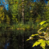 ***** :: юрий поляков