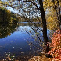Осенний пруд :: Наталия Григорьева Осенний пруд :: Наталия Григорьева