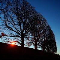 Свет и тьма 10 :: Игорь Тельцов