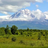 Корякская сопка :: Владимир Соколов (svladmir)