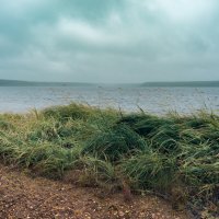 Холодное лето :: Владимир Калеев