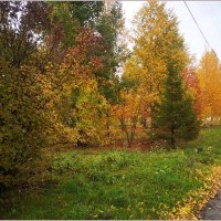 Сентябрьское утро... :: Aquarius - Сергей Сентябрьское утро... :: Aquarius - Сергей