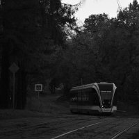 Ч/б свет :: Мария Яковлева