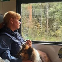 А за окном осень и немного грустно,что лето прошло! :: Нина Андронова