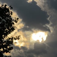 вечернее небо :: Елена Шаламова