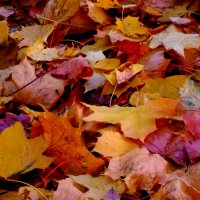 Осень :: Натали 