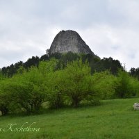 Природа Крыма :: Amazing Cosmea