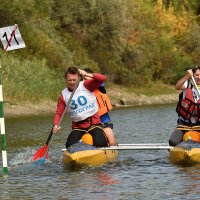 Идут без штрафных очков... :: Александр Гриднев