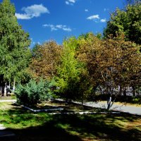 **** :: Анатолий Уткин