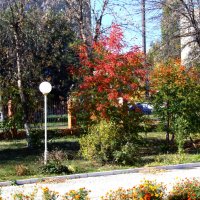 Осень в городе. :: Анатолий Уткин Осень в городе. :: Анатолий Уткин