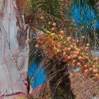 13  ОПЕН (443) :: OPEN WAYS ALL