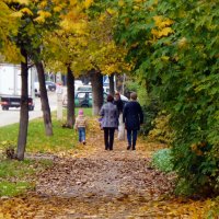 Осеннее :: Ольга 