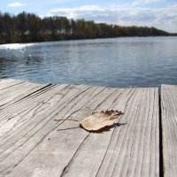 Сентябрь :: Евгения Каравашкина