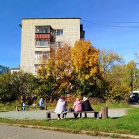 Из осеннего... :: светлана льдокова