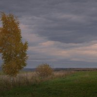 * :: Александр Иванов